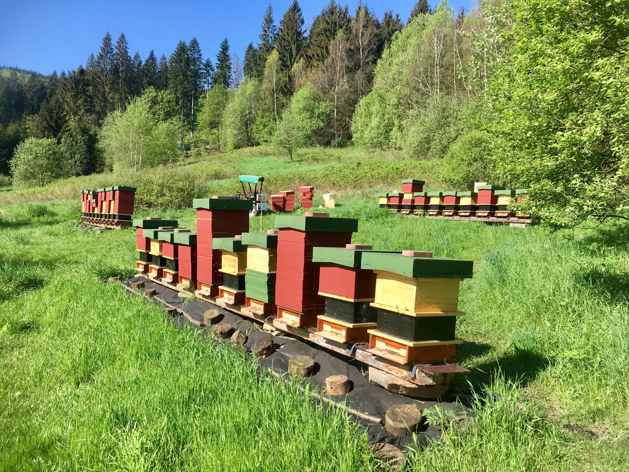 Stanoviště včelstvem