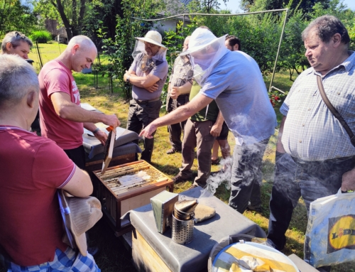 Včelařský kurz – chov matek a vedení včelstev 2026